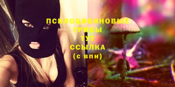 метадон Белокуриха