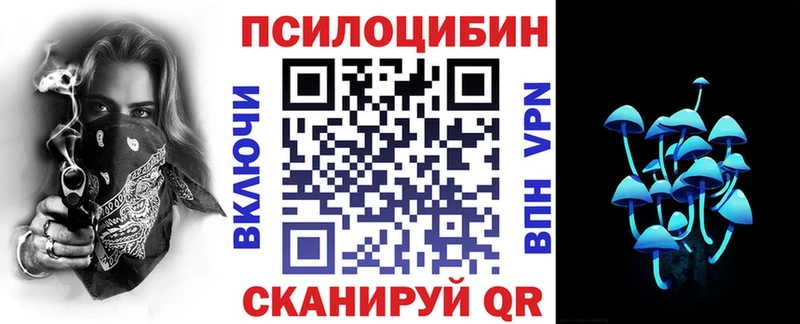 hydra вход  Чайковский  Галлюциногенные грибы мицелий 